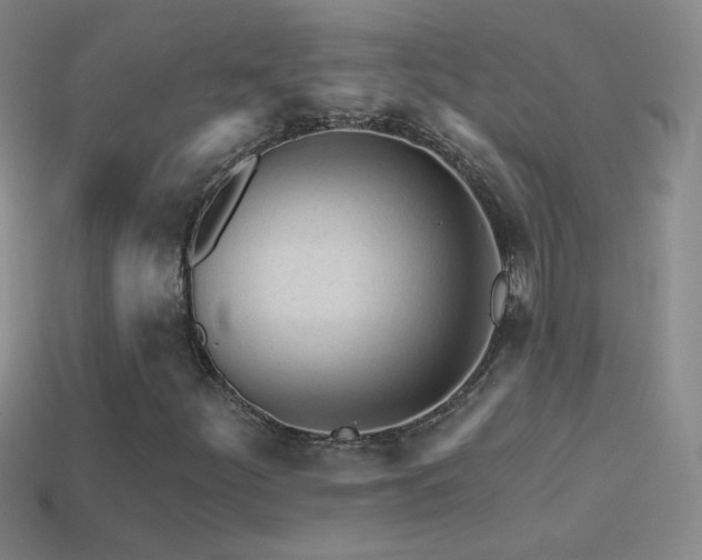 X0000114401252200910161308