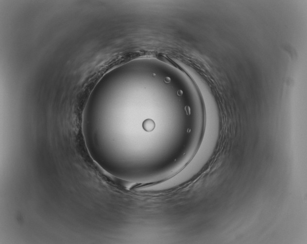 X0000114401253200910161308