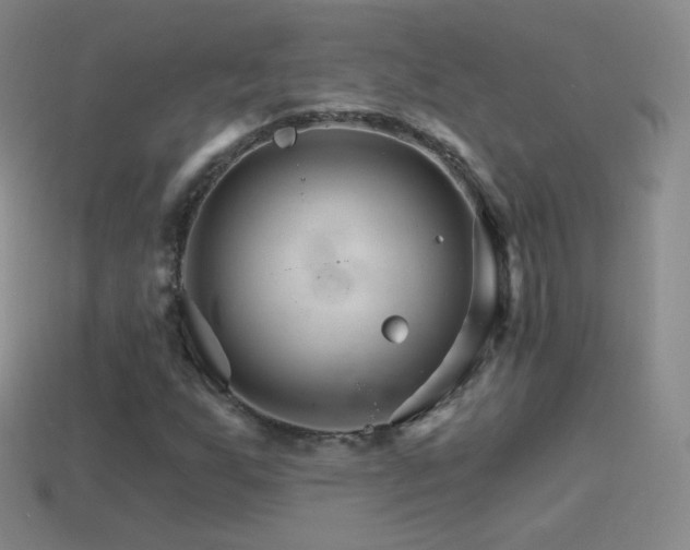 X0000114401255200910161308