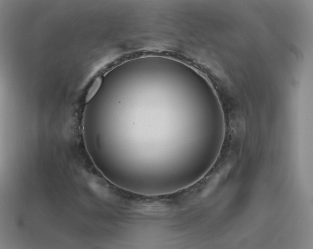 X0000114401256200910161308