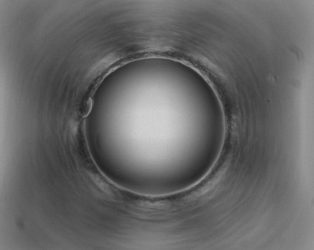 X0000114401257200910161308