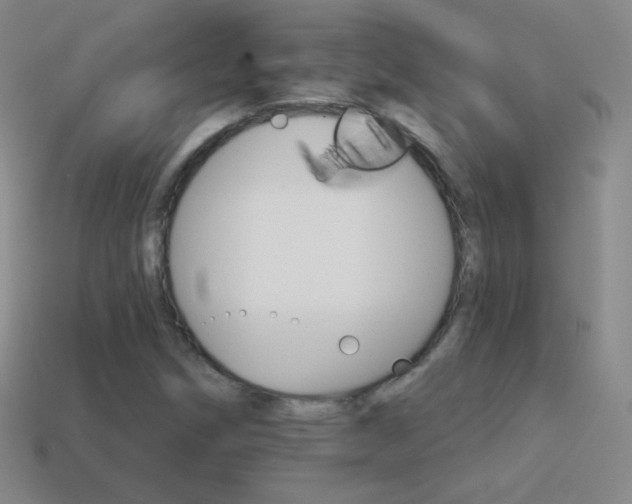 X0000114401258200910161308