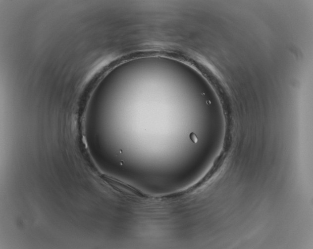 X0000114401259200910161308