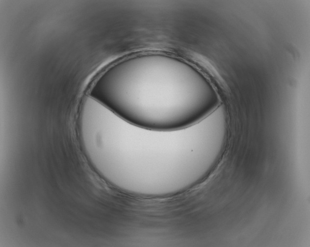 X0000114401260200910161308