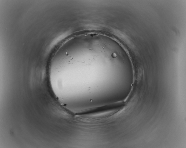 X0000114401261200910161308