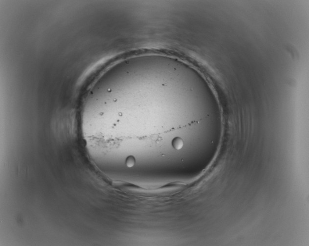 X0000114401262200910161307