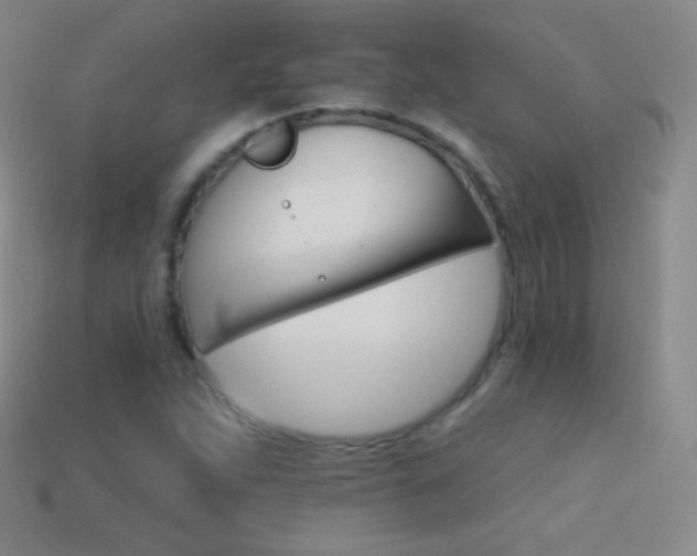 X0000114401263200910161307