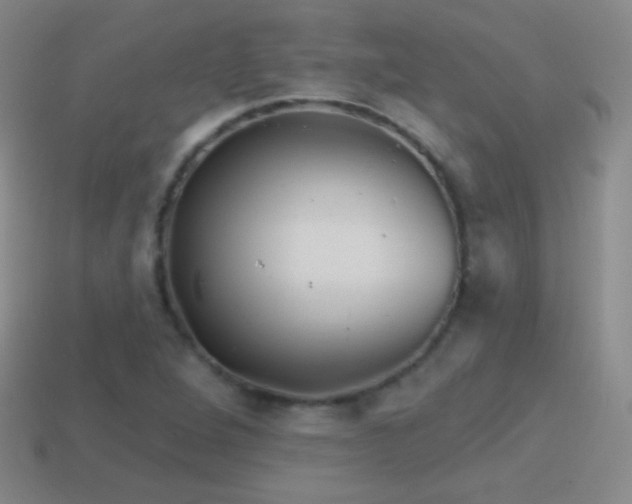 X0000114401264200910161307