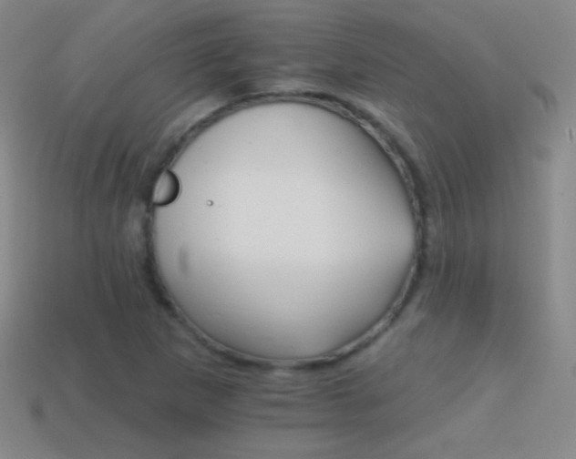 X0000114401265200910161307