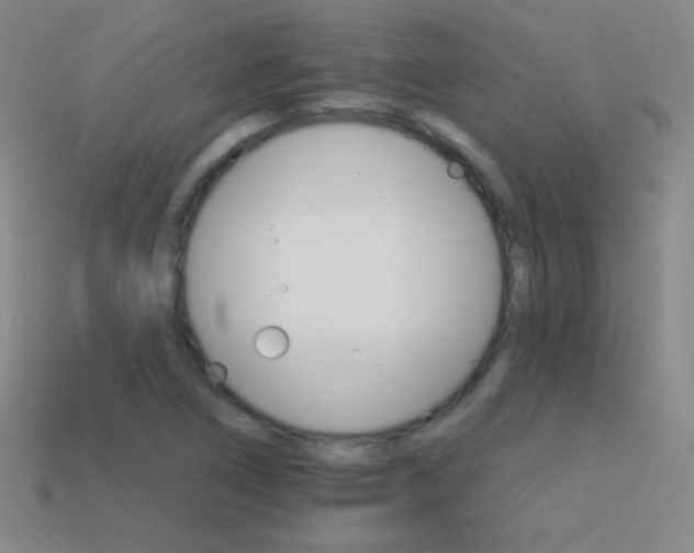 X0000114401266200910161307