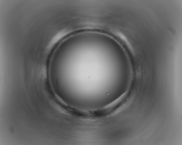 X0000114401267200910161307