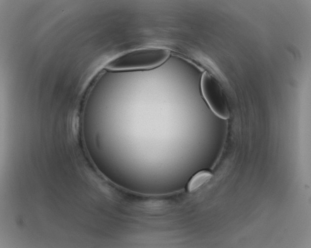 X0000114401268200910161307