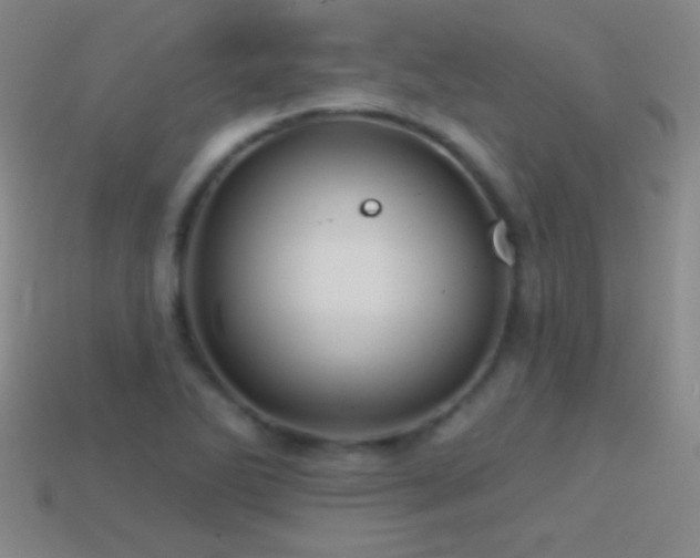 X0000114401270200910161307