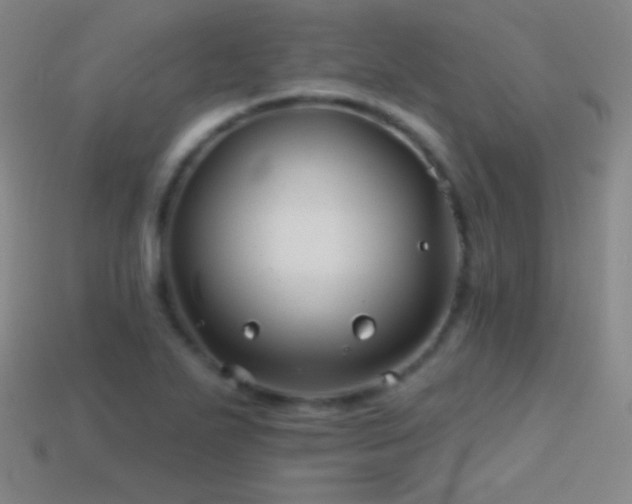 X0000114401271200910161307