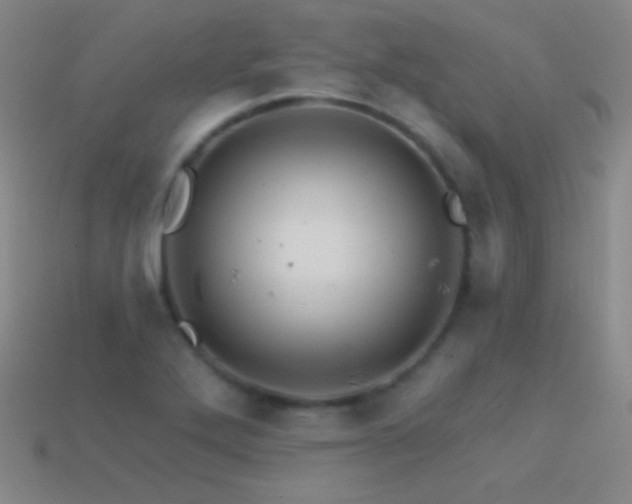 X0000114401272200910161307