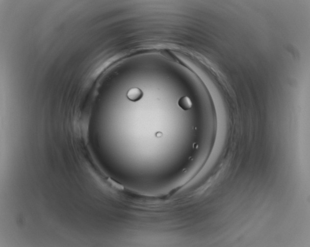 X0000114401273200910161307