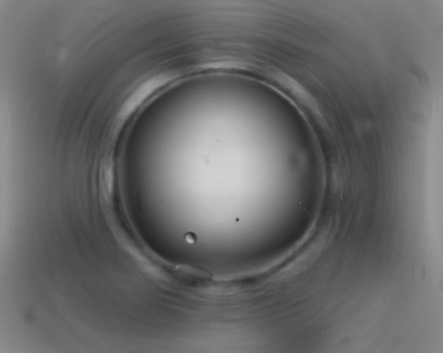 X0000114401274200910161307