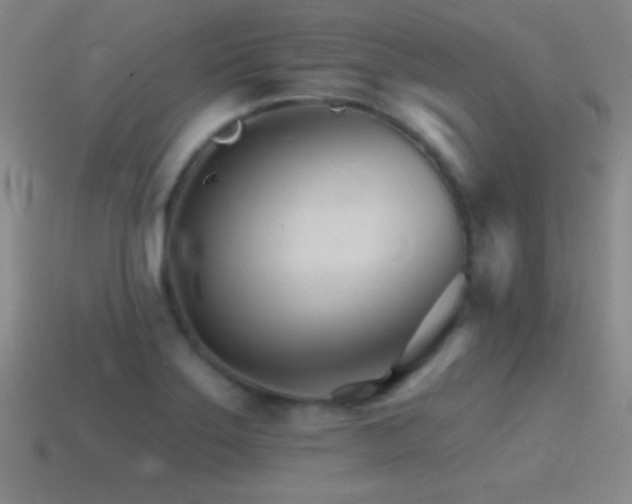 X0000114401275200910161307