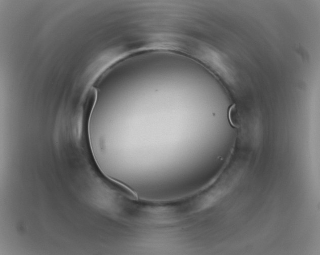 X0000114401276200910161307