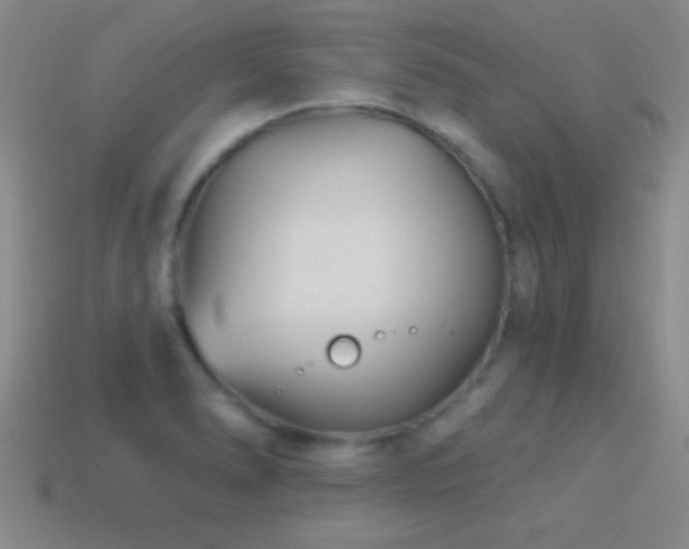 X0000114401278200910161307