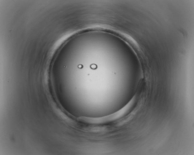 X0000114401279200910161307