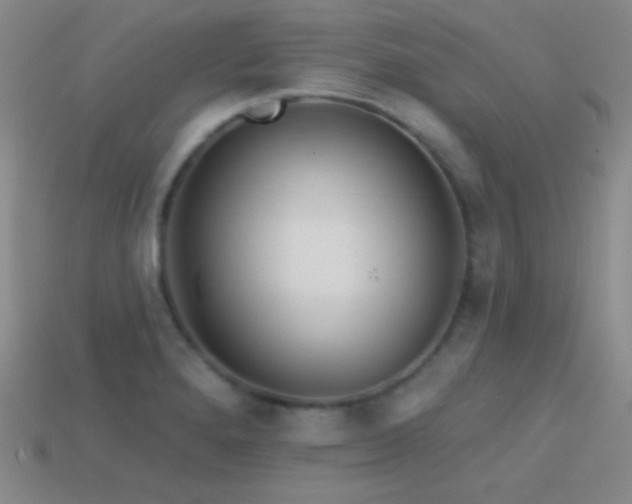 X0000114401280200910161307