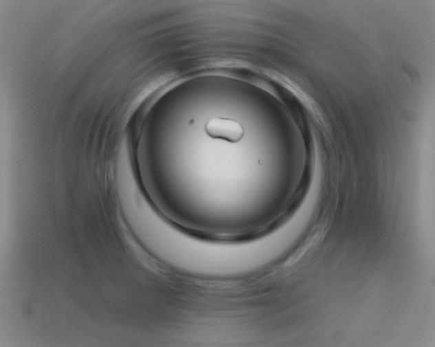 X0000114401281200910161307