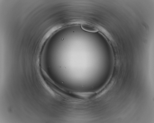 X0000114401282200910161307