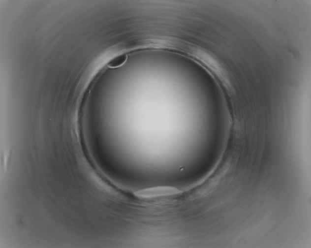 X0000114401283200910161307