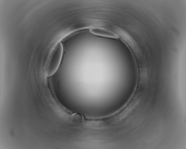 X0000114401284200910161307