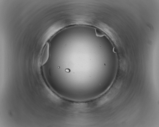 X0000114401285200910161307