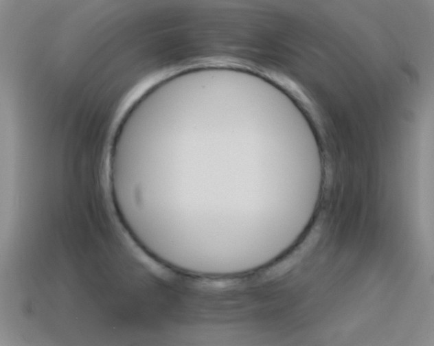 X0000114401286200910161307