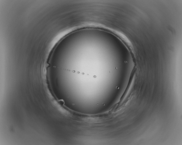 X0000114401287200910161307