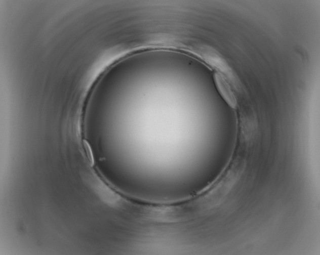 X0000114401288200910161307