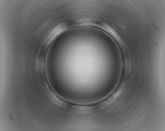 X0000114401289200910161307