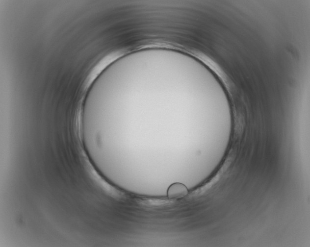 X0000114401290200910161307