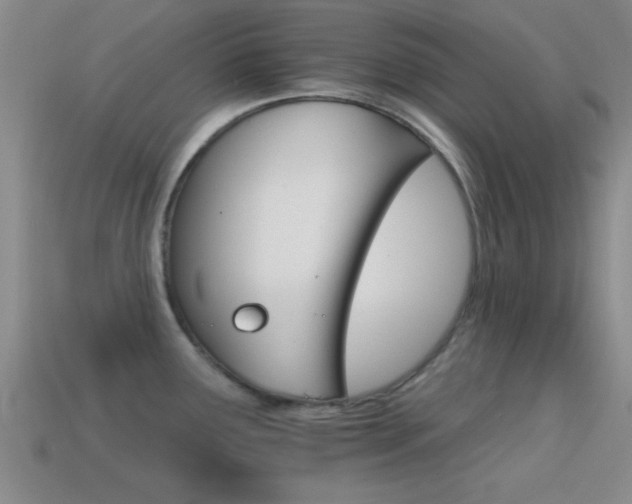 X0000114401291200910161307