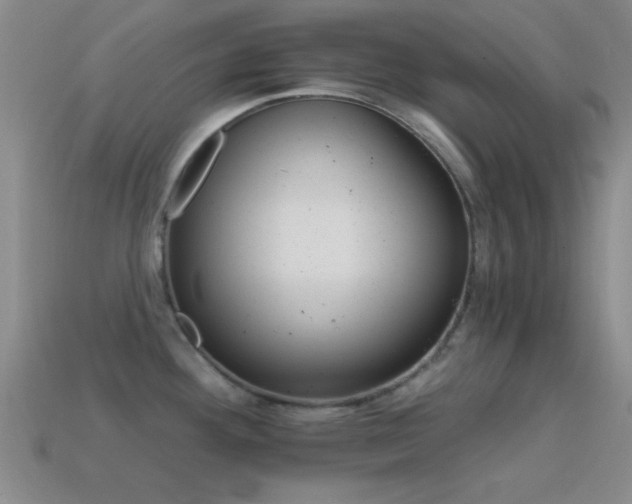 X0000114401292200910161307