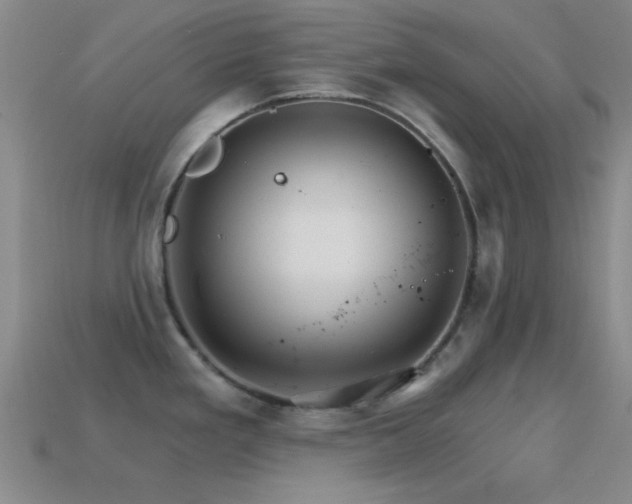 X0000114401293200910161307