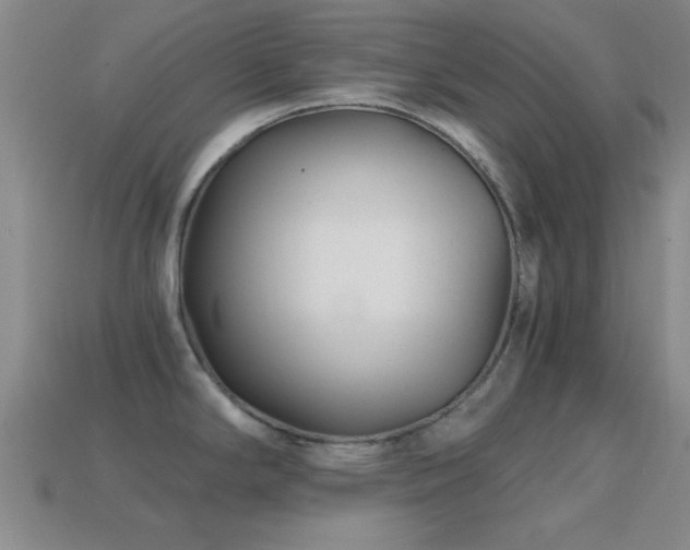 X0000114401294200910161307