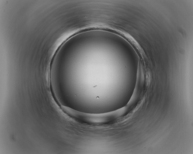 X0000114401295200910161307