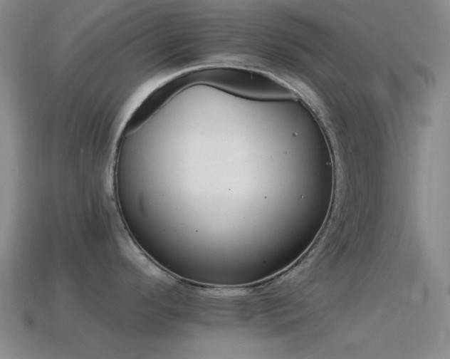 X0000114401296200910161307