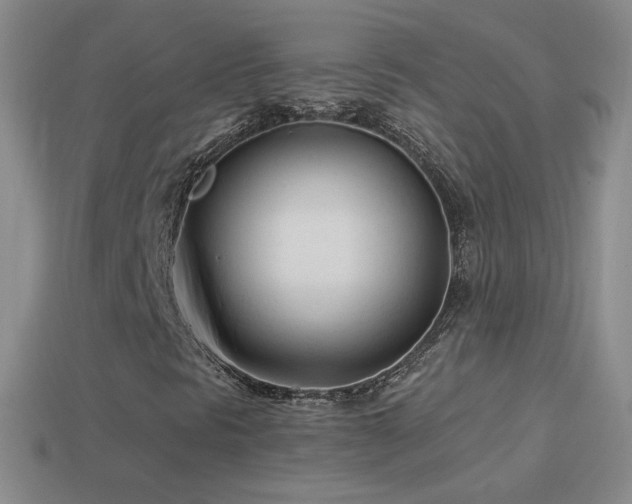 X0000114401297200910161306