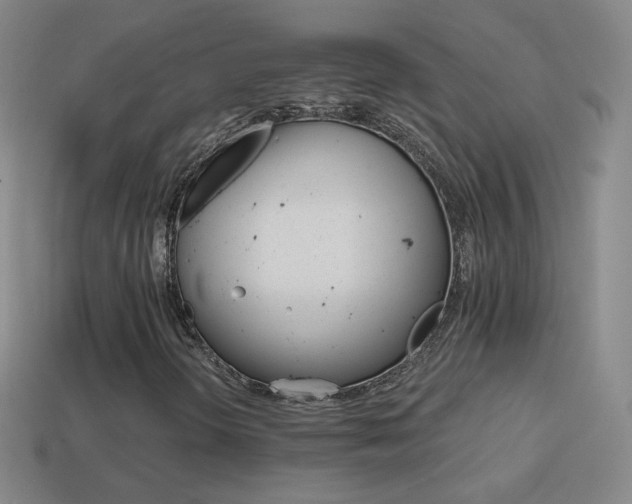 X0000114401298200910161306