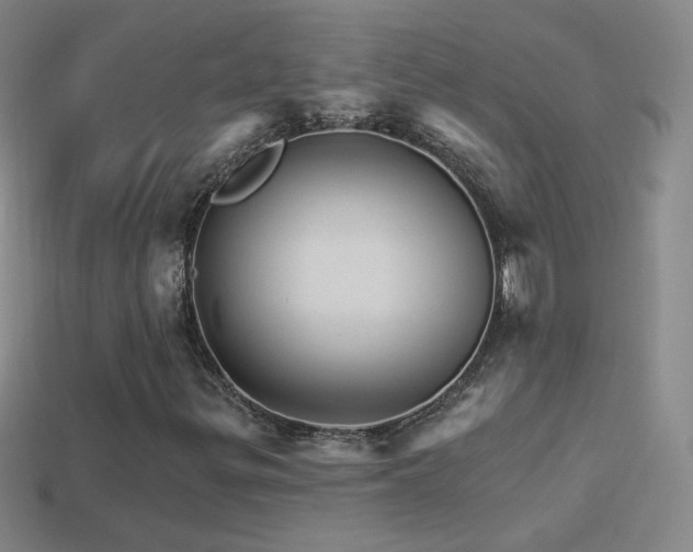 X0000114401299200910161306