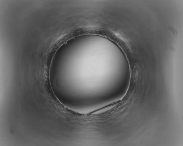 X0000114401301200910161306