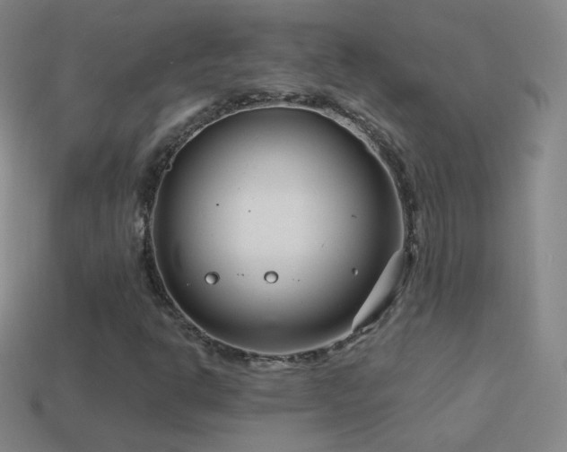 X0000114401302200910161306