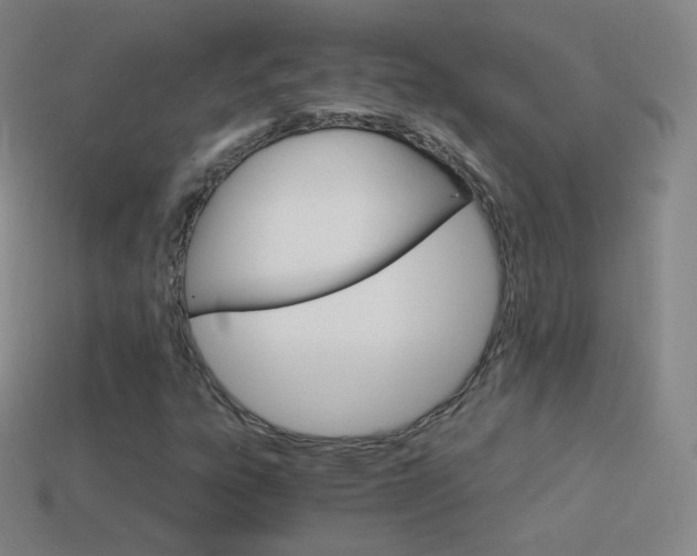 X0000114401303200910161307