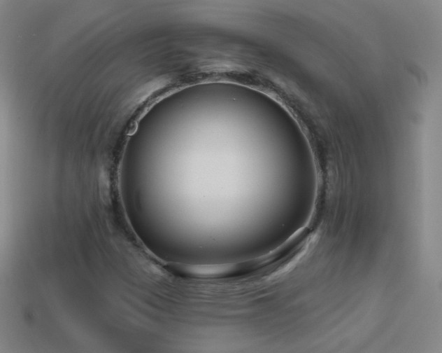 X0000114401305200910161307