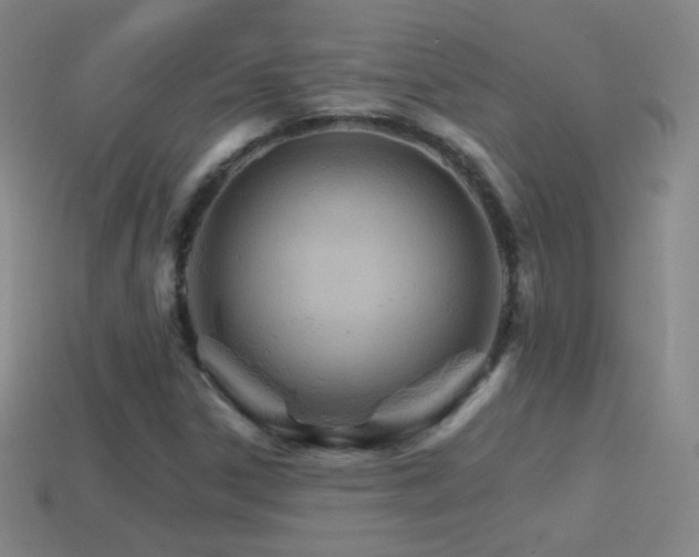 X0000114401306200910161307